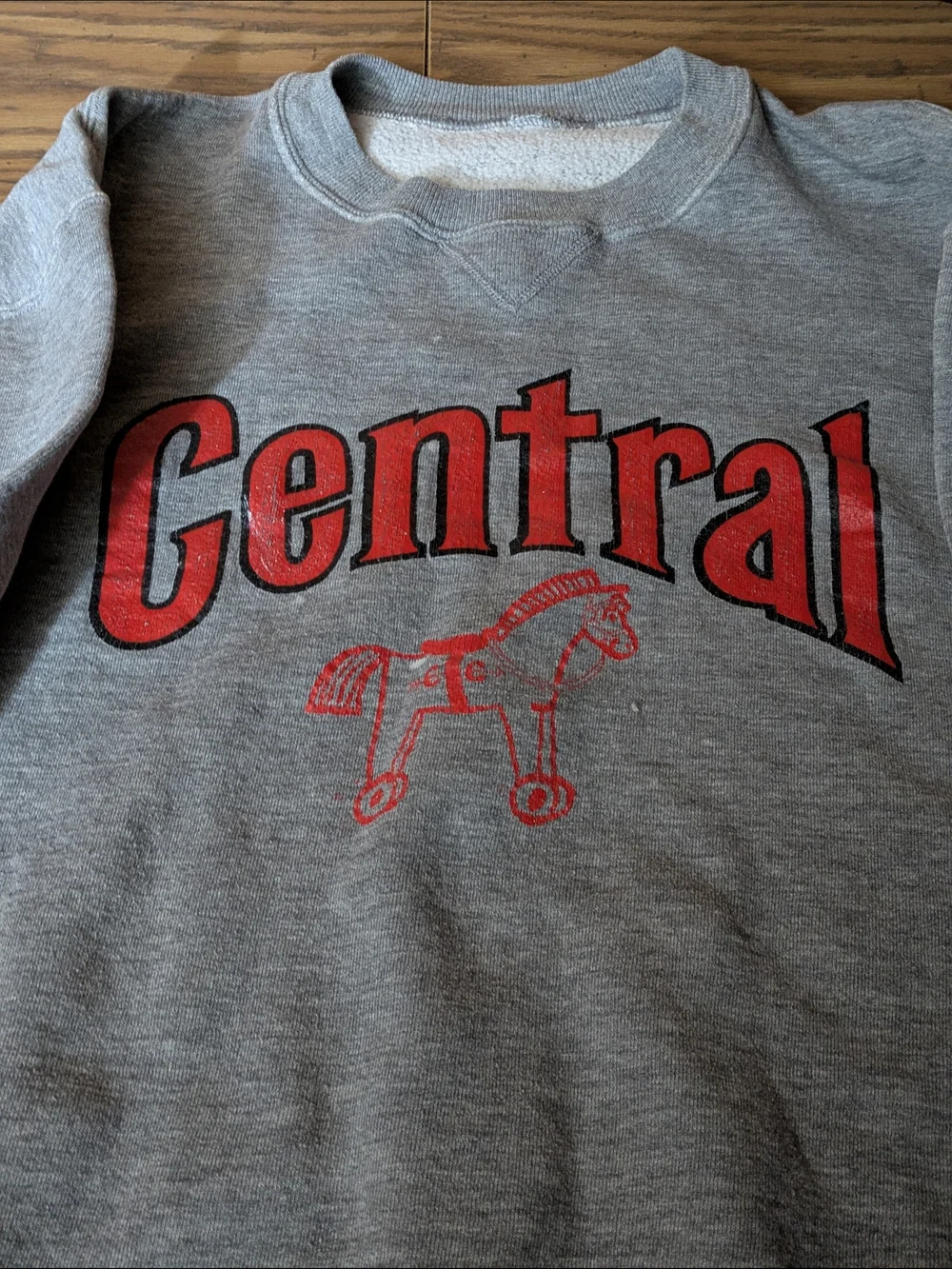 VTG 90s‎ Central Horse Graphic Crewneck - Distressed/Artisan Style 🐎